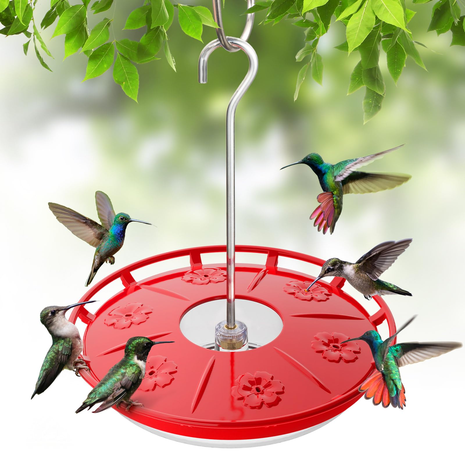 Amazon.com : Kingsyard Saucer Hummingbird Feeders for Outdoors